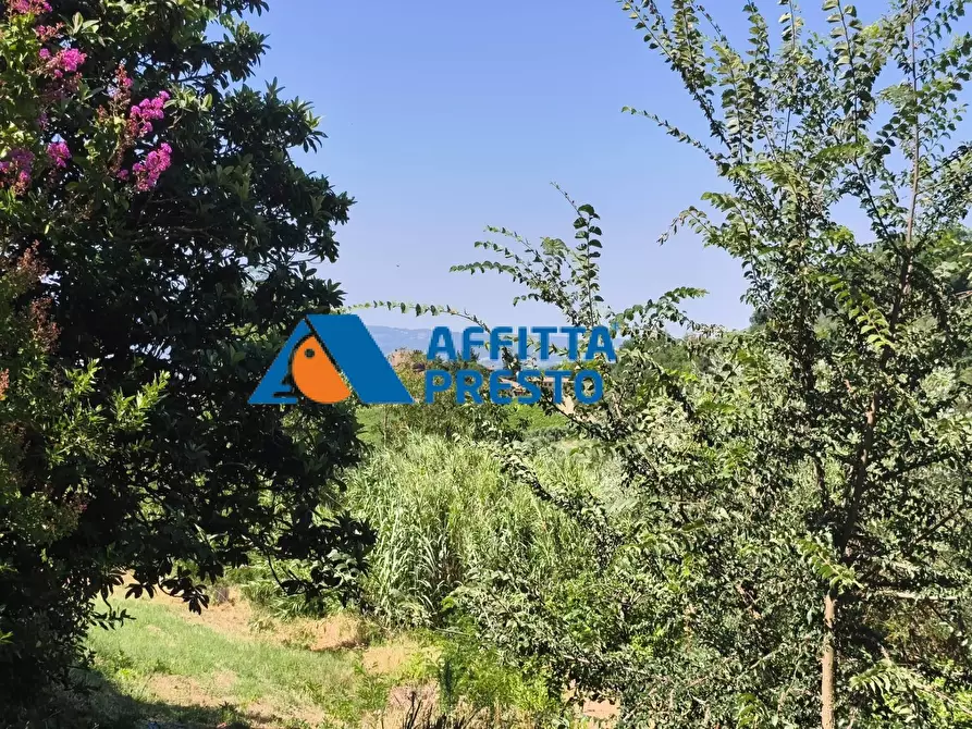 Immagine 16 di Casa semindipendente in vendita  a Certaldo