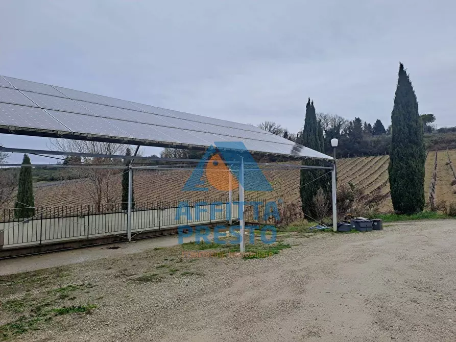 Immagine 22 di Appartamento in vendita  a Empoli