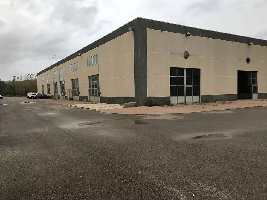 Immagine 4 di Capannone industriale in affitto  a Poggibonsi