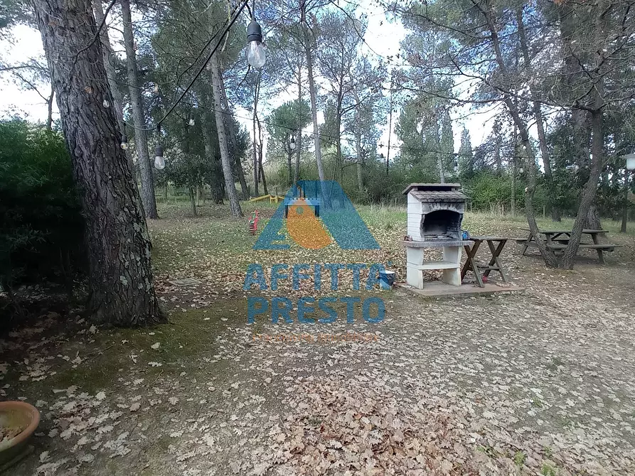Immagine 9 di Appartamento in affitto  a Montelupo Fiorentino