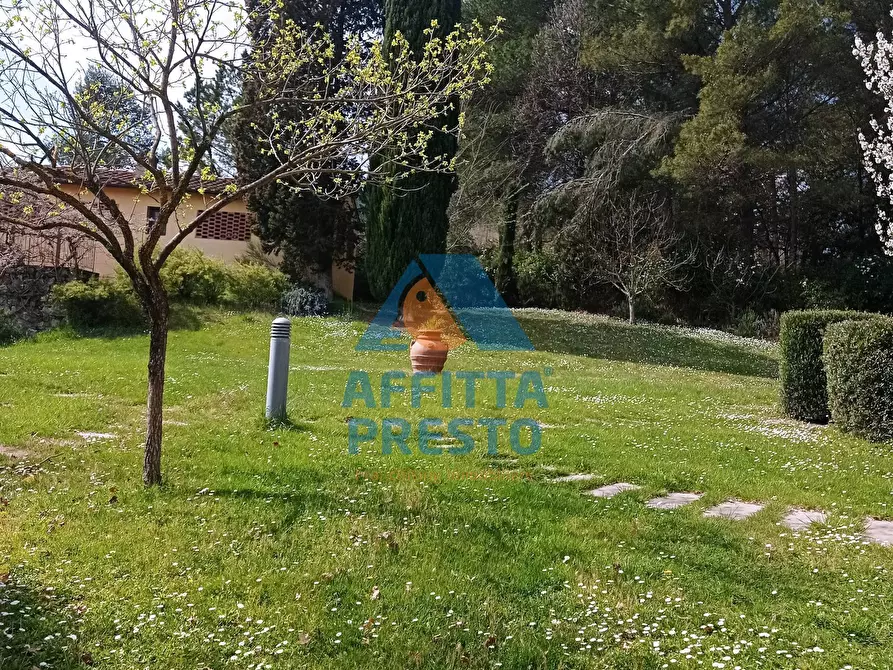 Immagine 11 di Appartamento in affitto  a Montelupo Fiorentino