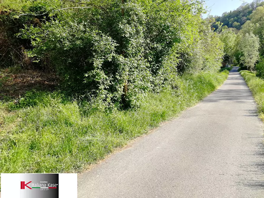 Immagine 5 di Terreno agricolo in vendita  in Strada Valle Bergero a Bruino