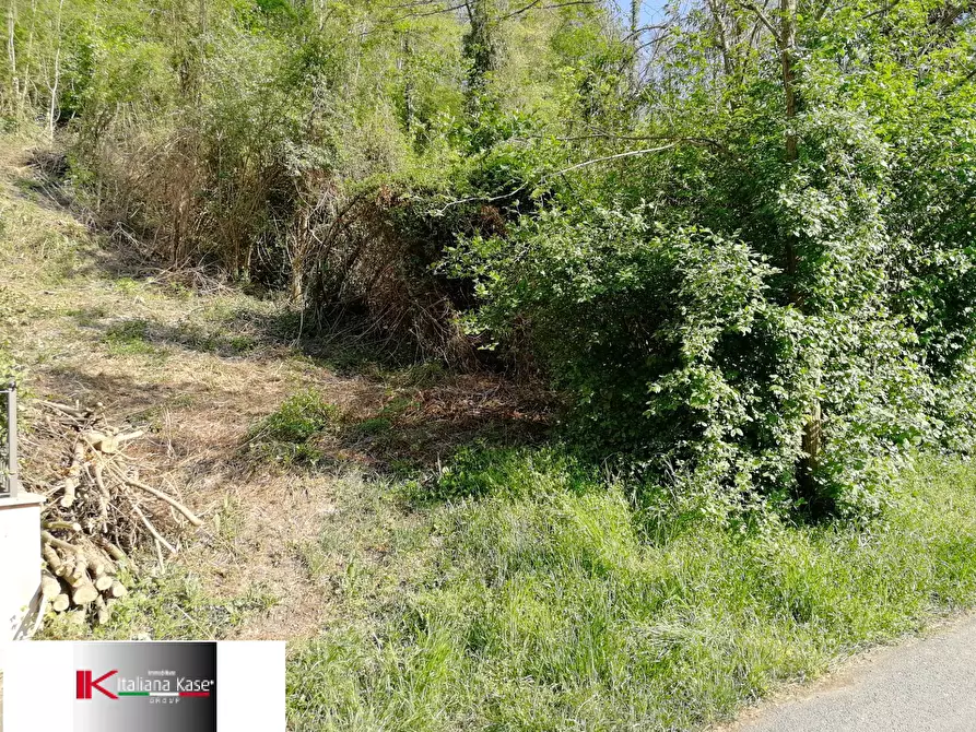 Immagine 6 di Terreno agricolo in vendita  in Strada Valle Bergero a Bruino