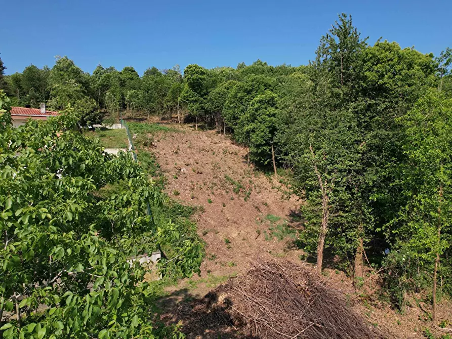 Immagine 2 di Terreno residenziale in vendita  snc a Mercenasco