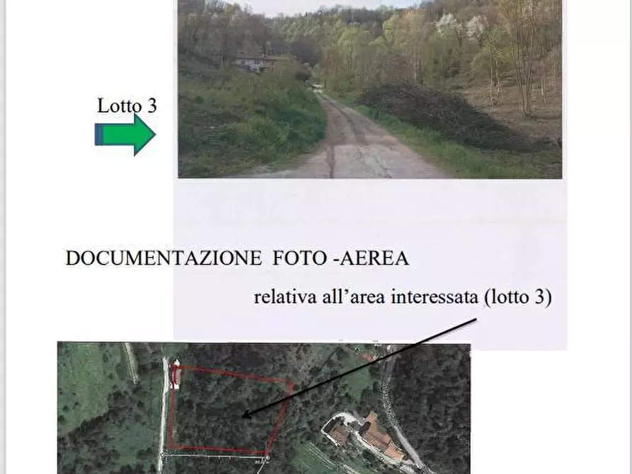 Immagine 2 di Terreno agricolo in vendita  in Strada Valle Bergero a Bruino