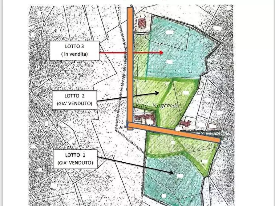 Immagine 3 di Terreno agricolo in vendita  in Strada Valle Bergero a Bruino