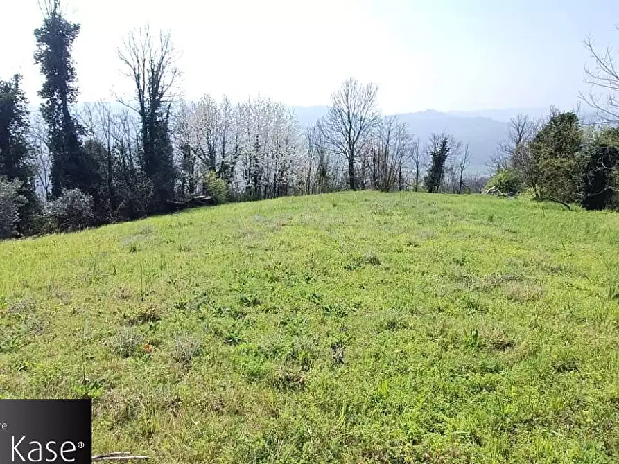 Immagine 23 di Rustico / casale in vendita  in Str Sant'Antonio a Bruino