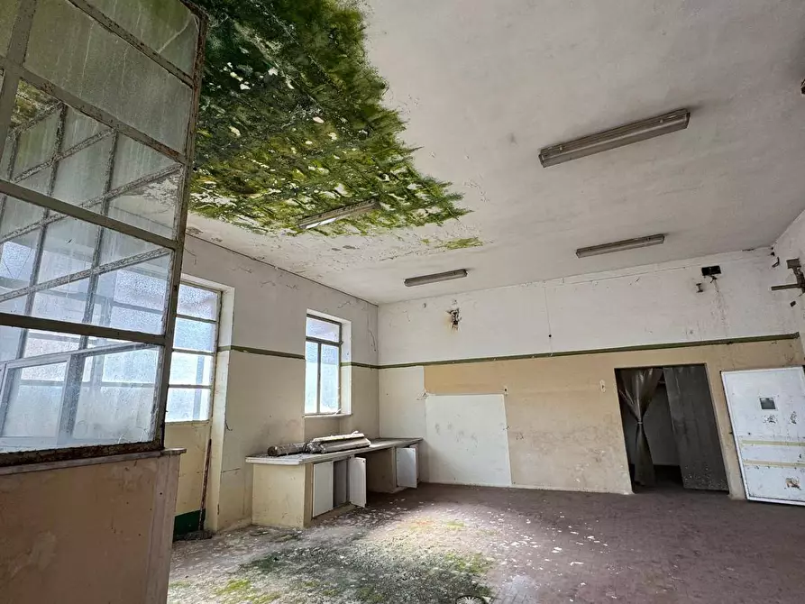 Immagine 7 di Locale commerciale in vendita  in Via Villacristina a Collegno