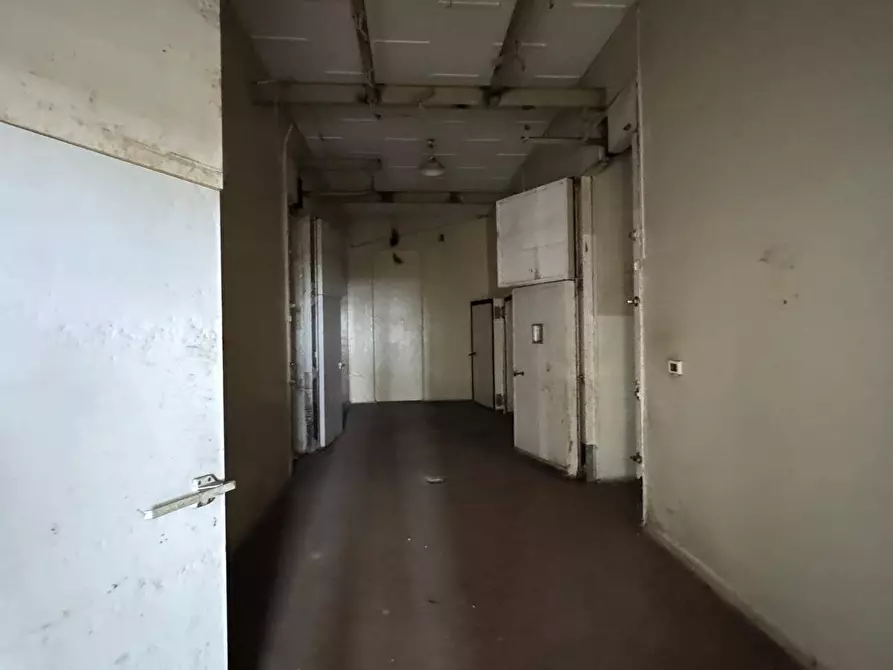 Immagine 11 di Locale commerciale in vendita  in Via Villacristina a Collegno