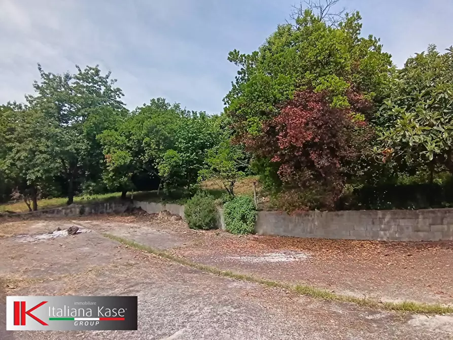 Immagine 4 di Terreno agricolo in vendita  in Regione Bavento a Bruino