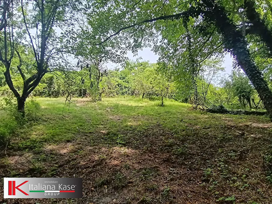 Immagine 2 di Terreno agricolo in vendita  in Regione Bavento a Bruino