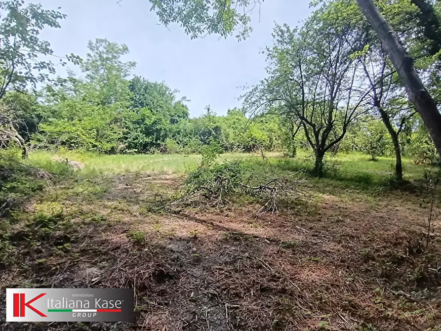 Immagine 3 di Terreno agricolo in vendita  in Regione Bavento a Bruino