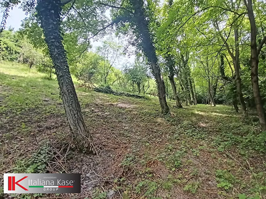 Immagine 11 di Terreno agricolo in vendita  in Regione Bavento a Bruino