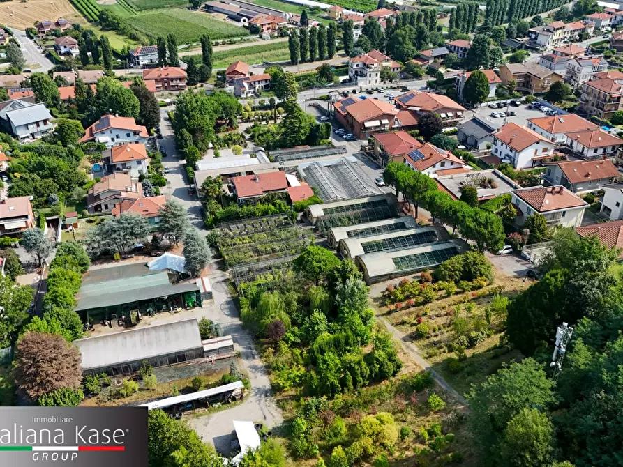 Immagine 1 di Azienda agricola in vendita  in via torino a Bruino