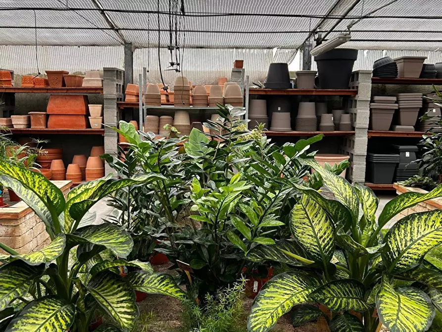 Immagine 32 di Azienda agricola in vendita  in via torino a Bruino