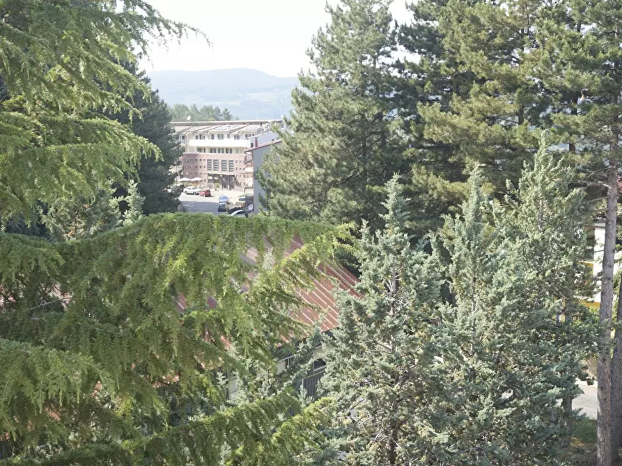 Immagine 7 di Attico in vendita  in via Pirainella a San Giovanni In Fiore