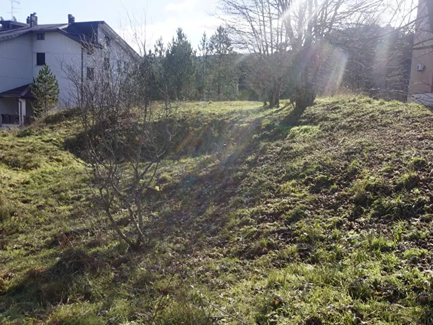 Immagine 7 di Terreno residenziale in vendita  a Spezzano Della Sila
