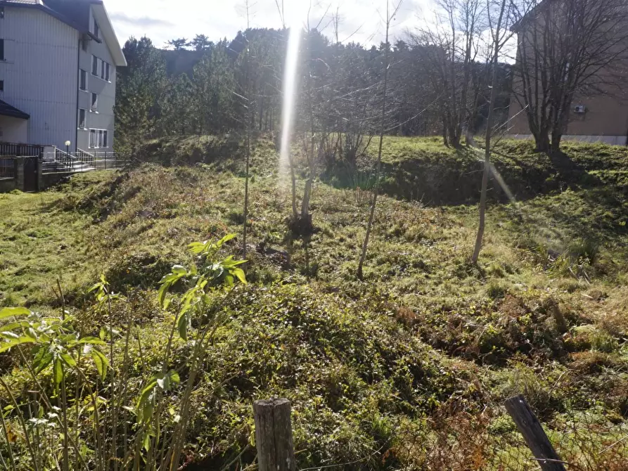 Immagine 10 di Terreno residenziale in vendita  a Spezzano Della Sila