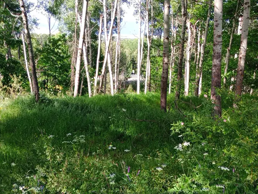 Immagine 2 di Terreno agricolo in vendita  a Spezzano Della Sila