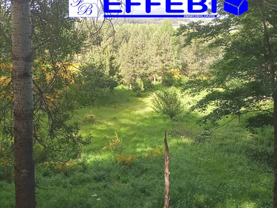 Immagine 3 di Terreno agricolo in vendita  a Spezzano Della Sila