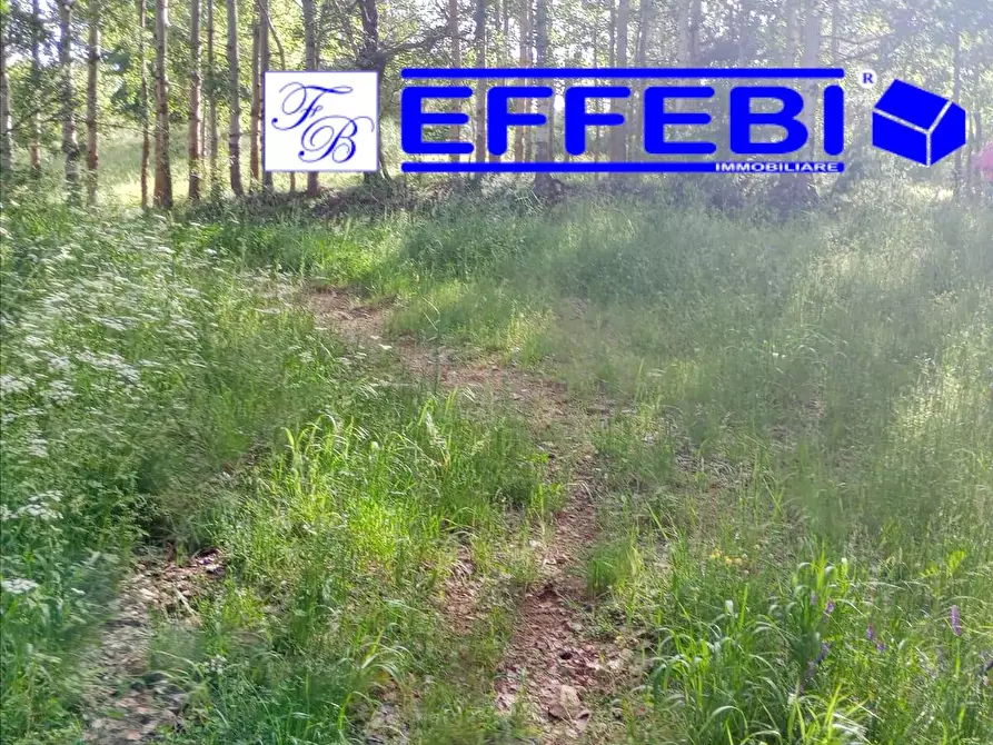 Immagine 6 di Terreno agricolo in vendita  a Spezzano Della Sila