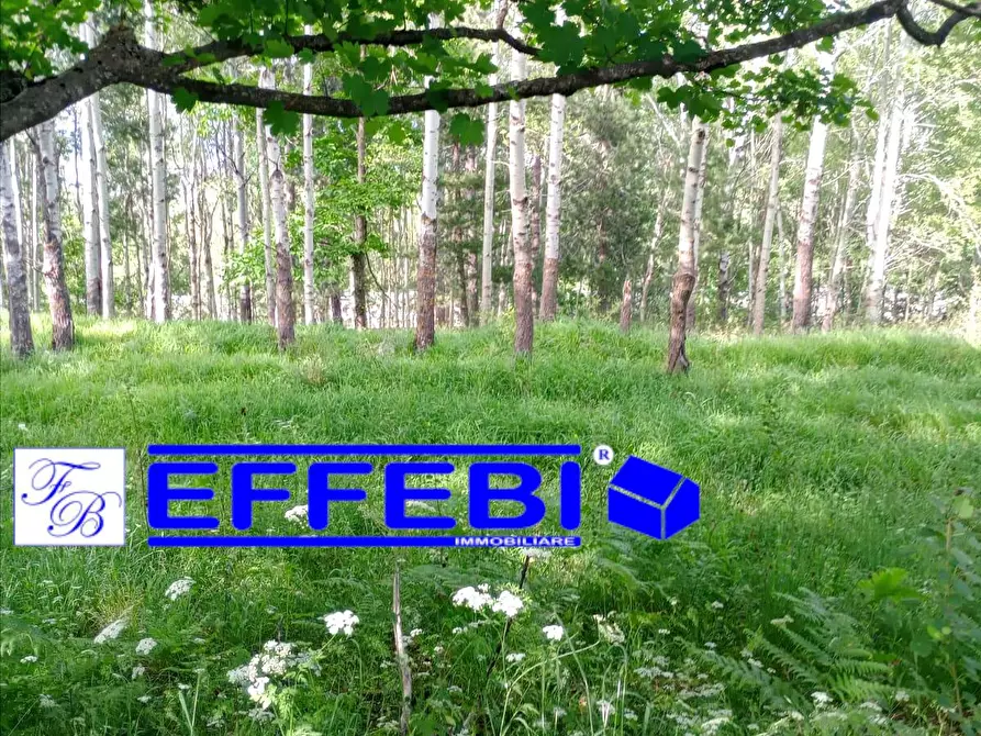 Immagine 7 di Terreno agricolo in vendita  a Spezzano Della Sila