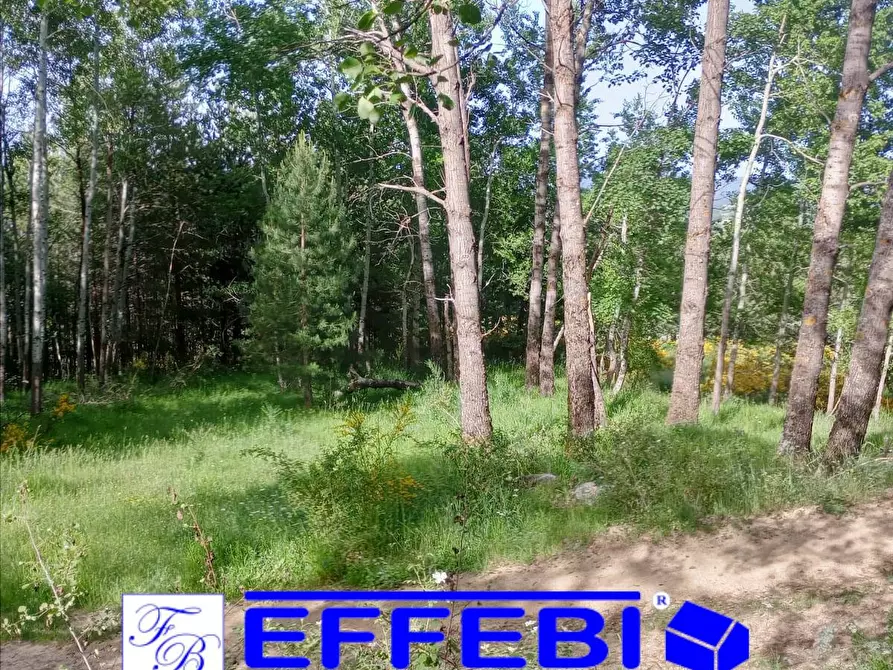 Immagine 11 di Terreno agricolo in vendita  a Spezzano Della Sila