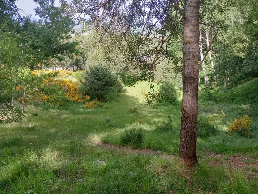 Immagine 12 di Terreno agricolo in vendita  a Spezzano Della Sila