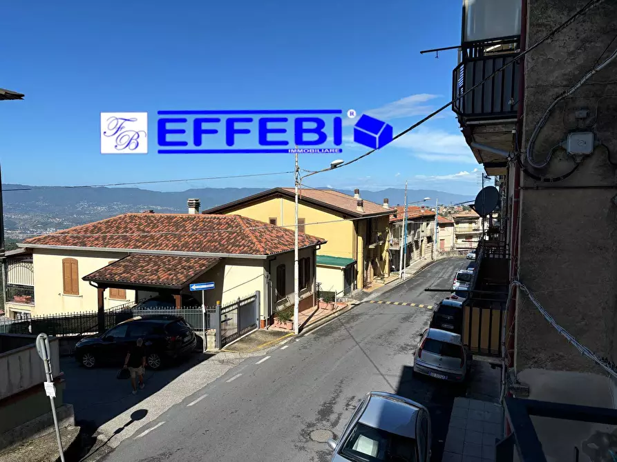 Immagine 21 di Agriturismo in vendita  in via roma 159 a Spezzano Della Sila