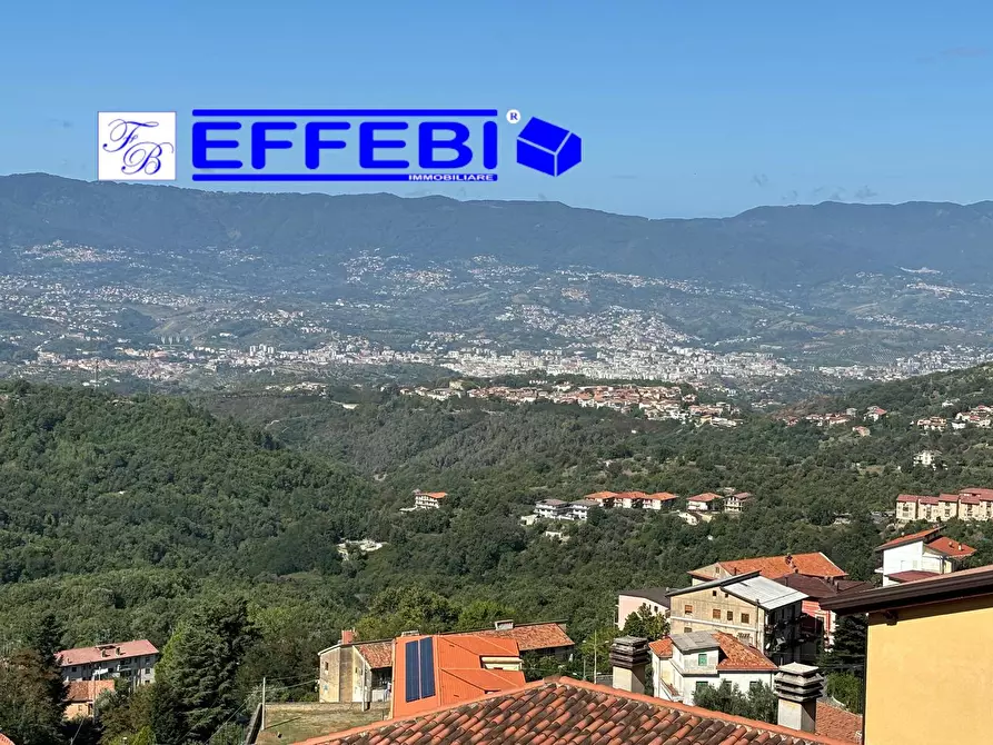 Immagine 24 di Agriturismo in vendita  in via roma 159 a Spezzano Della Sila