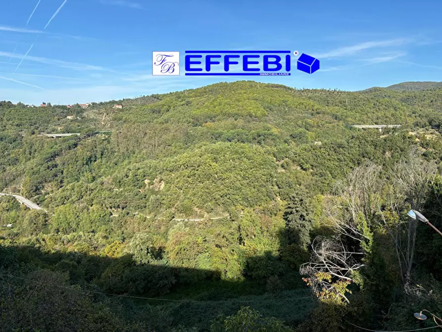 Immagine 8 di Casa indipendente in vendita  in via roma 13/15 a Celico