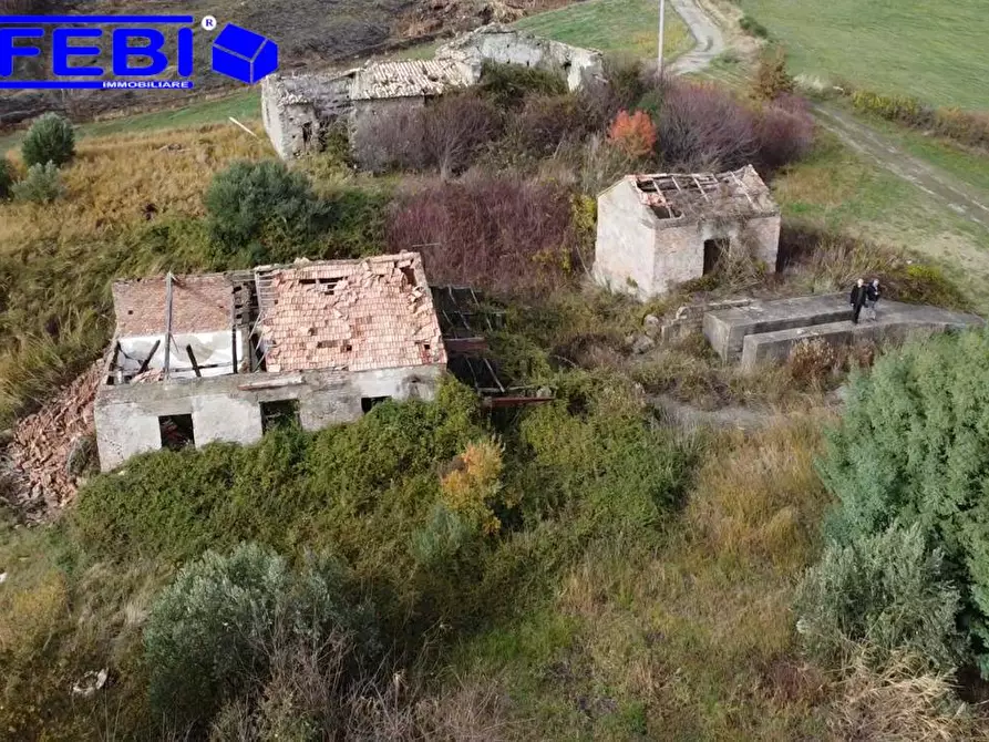Immagine 4 di Terreno agricolo in vendita  in contrada Marinella a San Benedetto Ullano