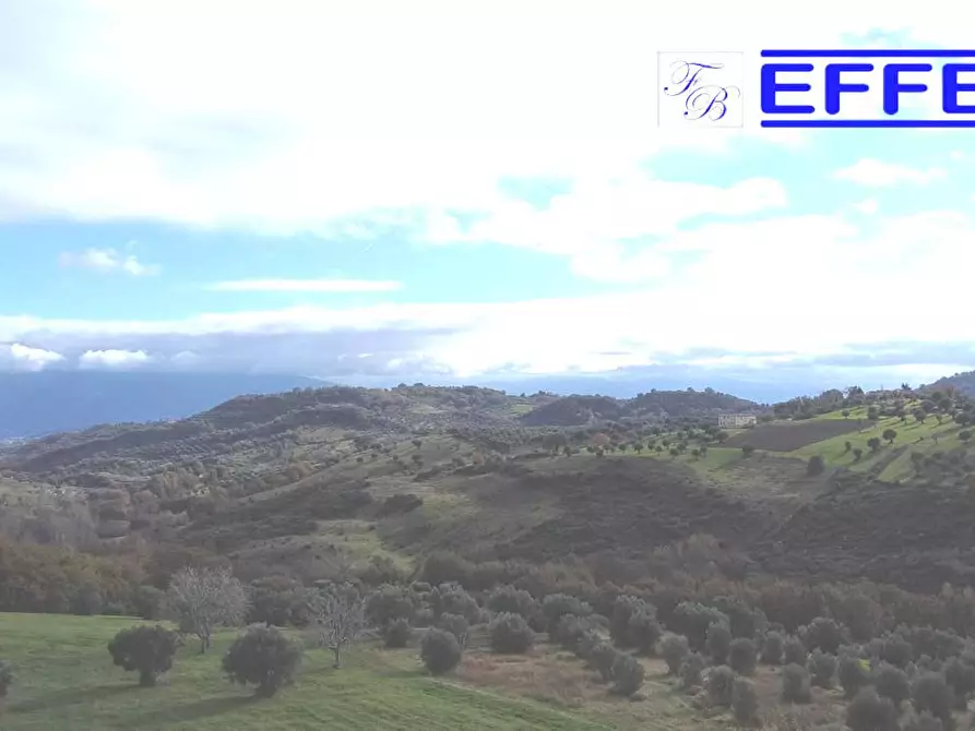 Immagine 6 di Terreno agricolo in vendita  in contrada Marinella a San Benedetto Ullano