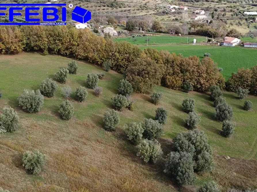 Immagine 15 di Terreno agricolo in vendita  in contrada Marinella a San Benedetto Ullano