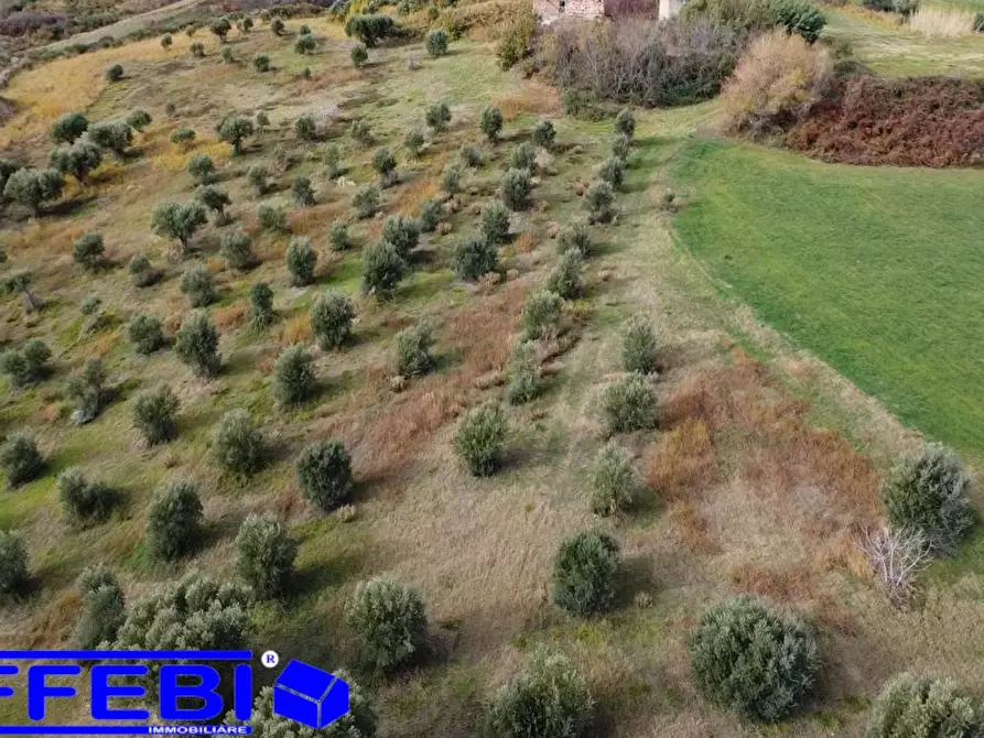 Immagine 21 di Terreno agricolo in vendita  in contrada Marinella a San Benedetto Ullano