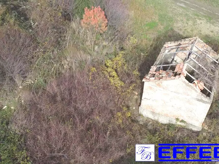 Immagine 28 di Terreno agricolo in vendita  in contrada Marinella a San Benedetto Ullano