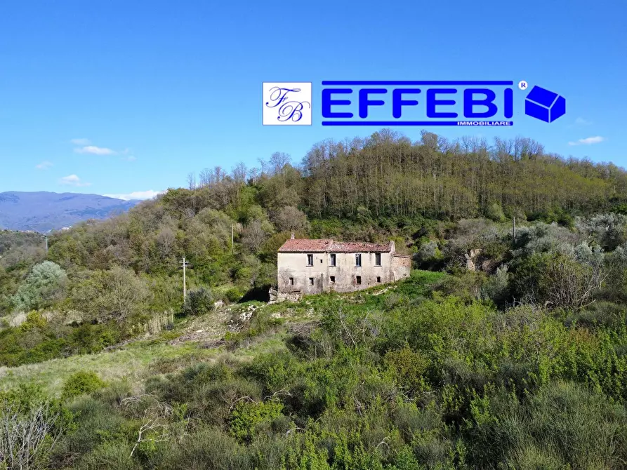 Immagine 3 di Agriturismo in vendita  in Contrada Fiego a Cosenza