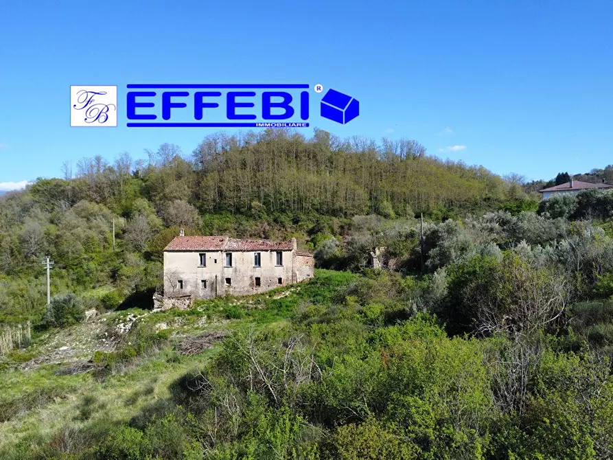 Immagine 4 di Agriturismo in vendita  in Contrada Fiego a Cosenza