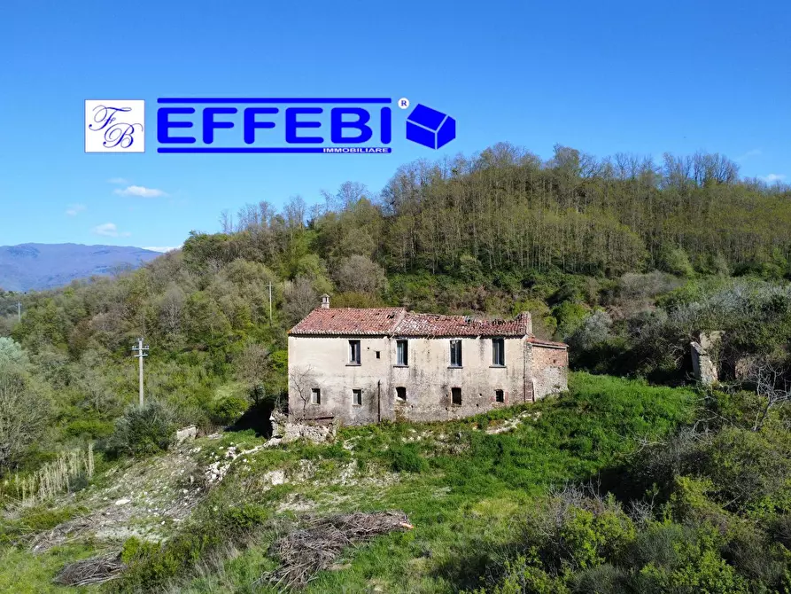 Immagine 5 di Agriturismo in vendita  in Contrada Fiego a Cosenza