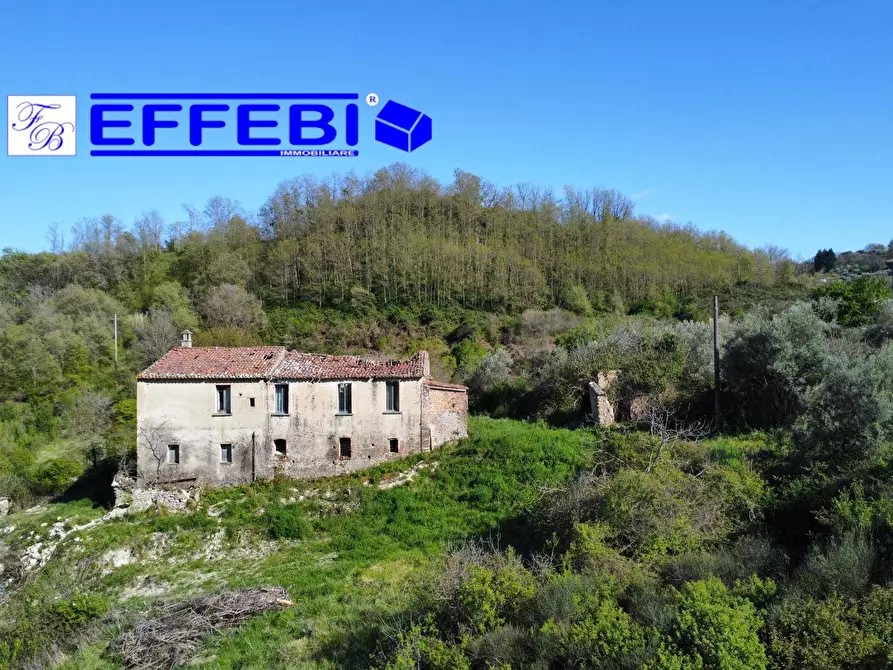 Immagine 6 di Agriturismo in vendita  in Contrada Fiego a Cosenza