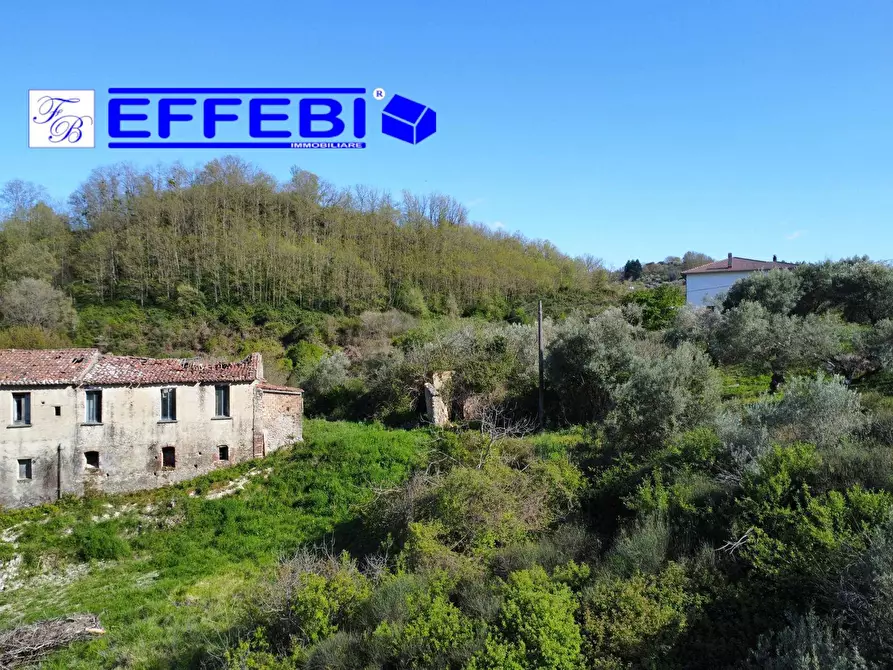 Immagine 7 di Agriturismo in vendita  in Contrada Fiego a Cosenza