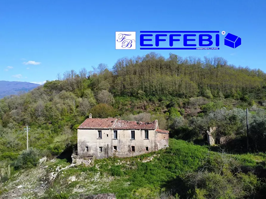 Immagine 8 di Agriturismo in vendita  in Contrada Fiego a Cosenza