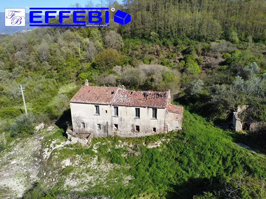 Immagine 11 di Agriturismo in vendita  in Contrada Fiego a Cosenza