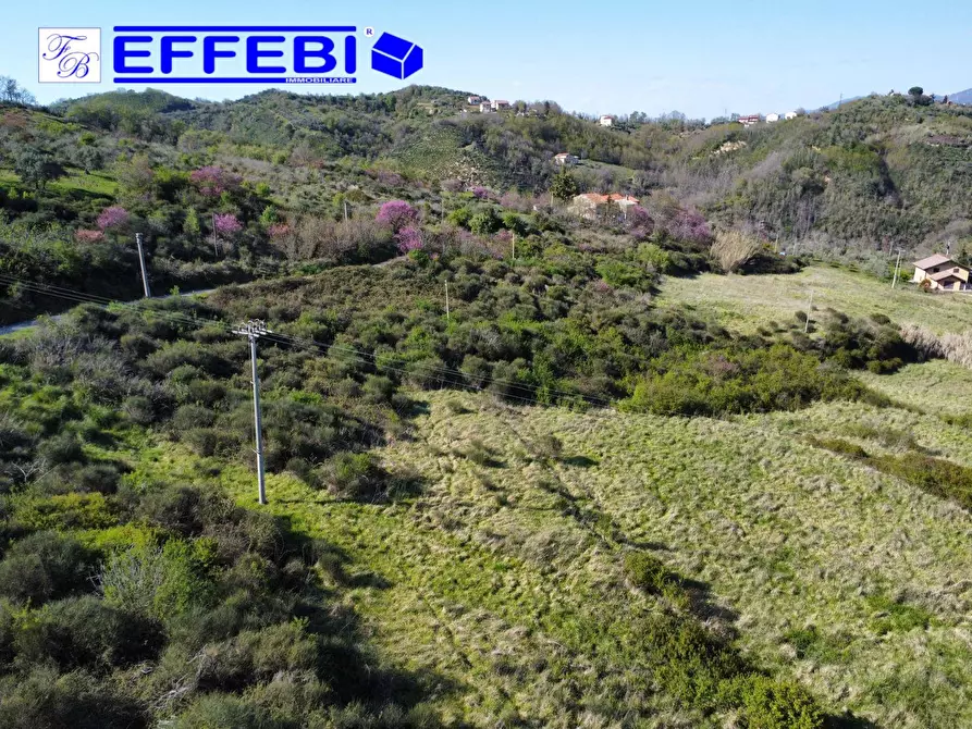 Immagine 13 di Agriturismo in vendita  in Contrada Fiego a Cosenza