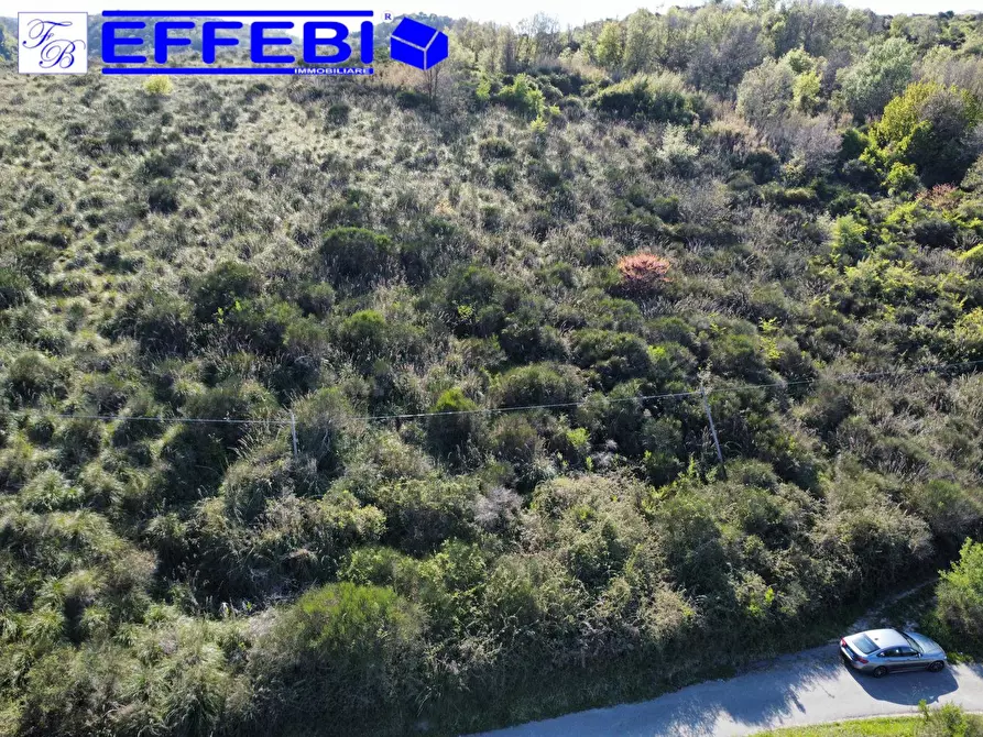 Immagine 15 di Agriturismo in vendita  in Contrada Fiego a Cosenza