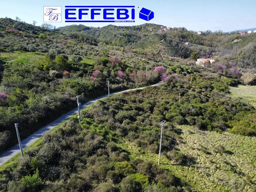 Immagine 16 di Agriturismo in vendita  in Contrada Fiego a Cosenza