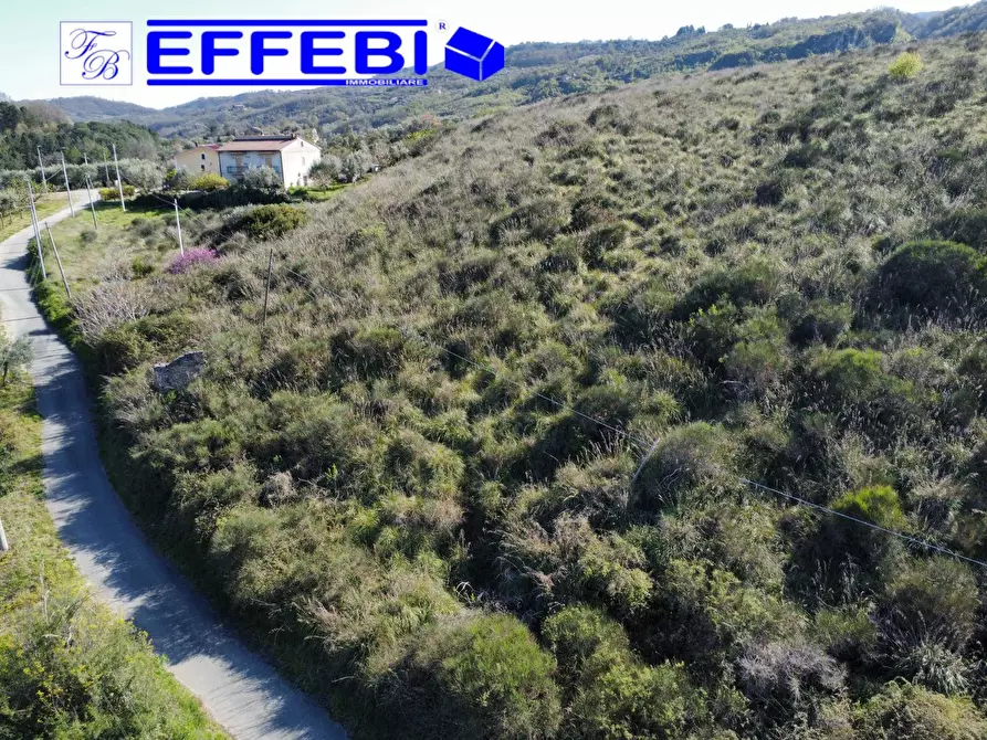 Immagine 18 di Agriturismo in vendita  in Contrada Fiego a Cosenza