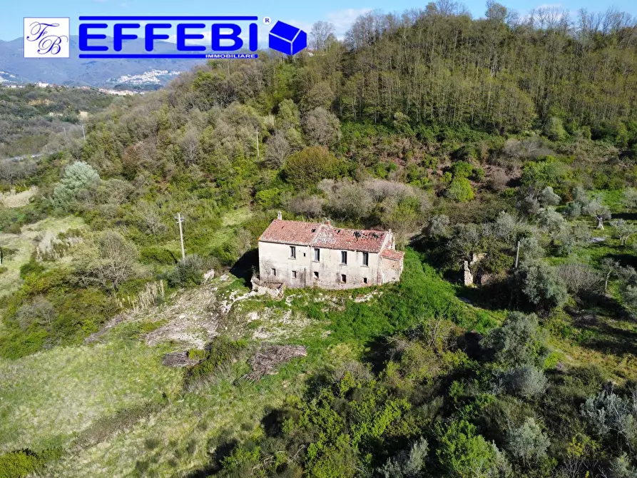 Immagine 20 di Agriturismo in vendita  in Contrada Fiego a Cosenza