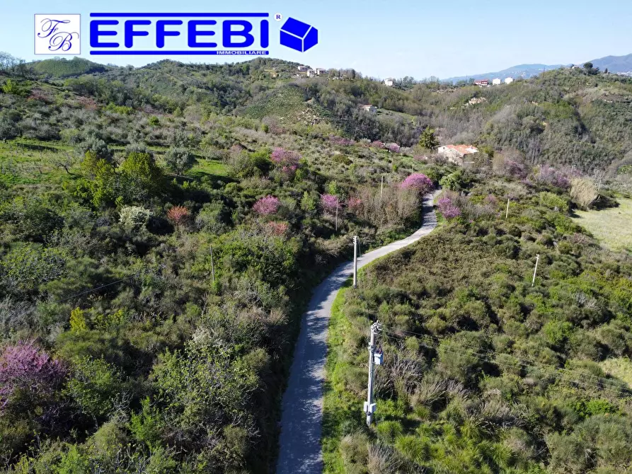 Immagine 22 di Agriturismo in vendita  in Contrada Fiego a Cosenza