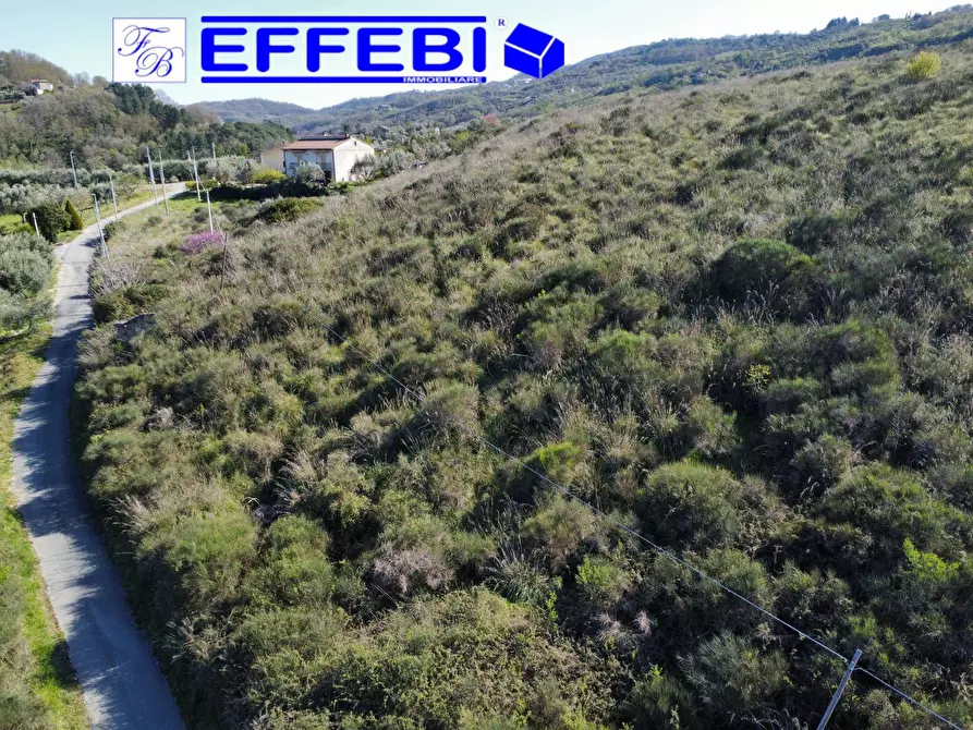 Immagine 23 di Agriturismo in vendita  in Contrada Fiego a Cosenza